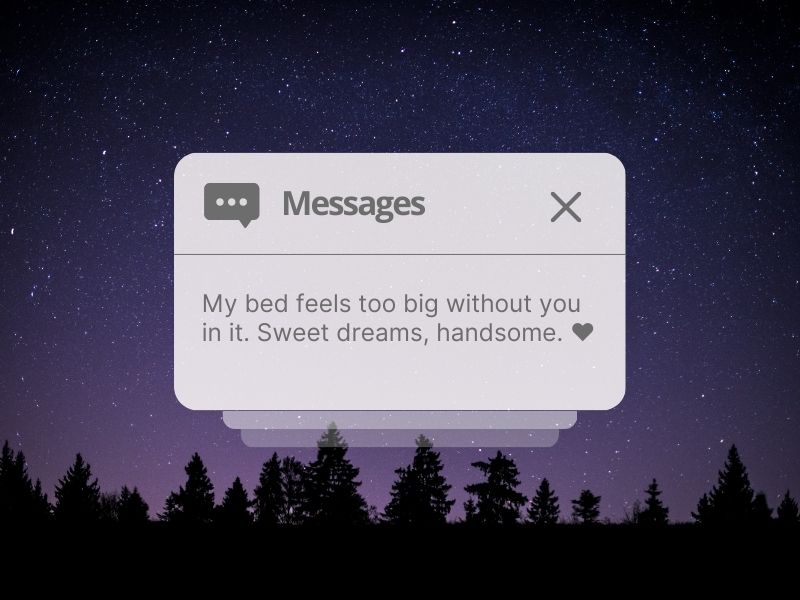 Flirty Good Night Messages For Him